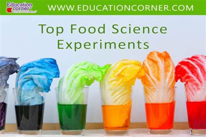 What are some good food experiments?