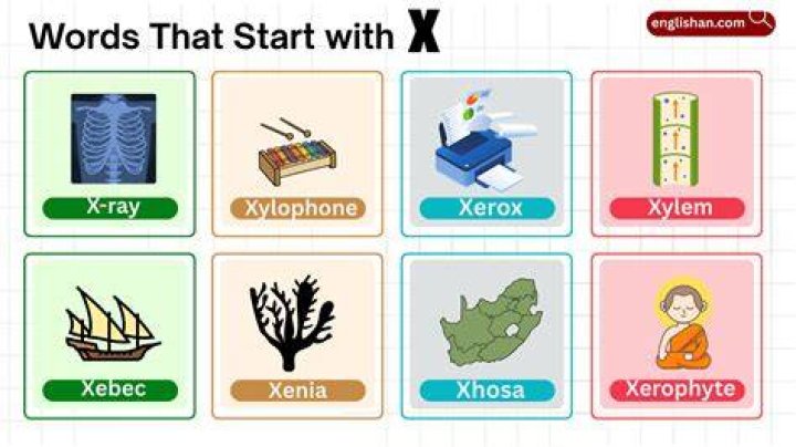 What are some words that start with X?