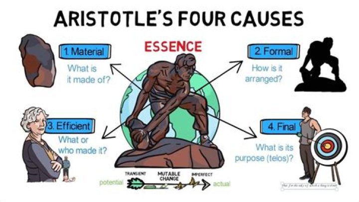 What are the 4 causes according to Aristotle?