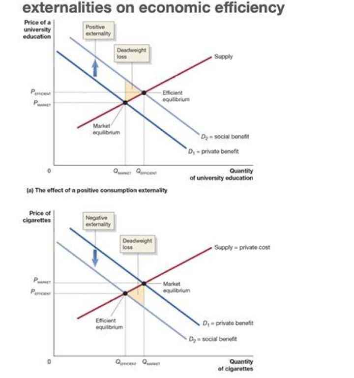 What are the 4 types of externalities?