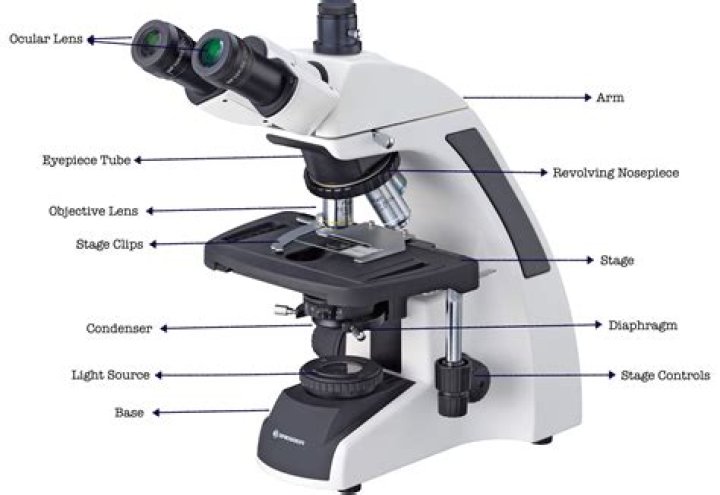 What are the 7 parts of a microscope?