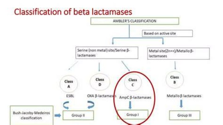 What are the classes of beta lactamases?