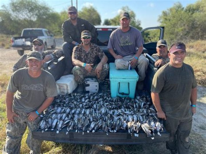 What are the shooting hours for dove in Texas?