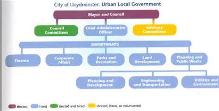 What are the structures of local government?