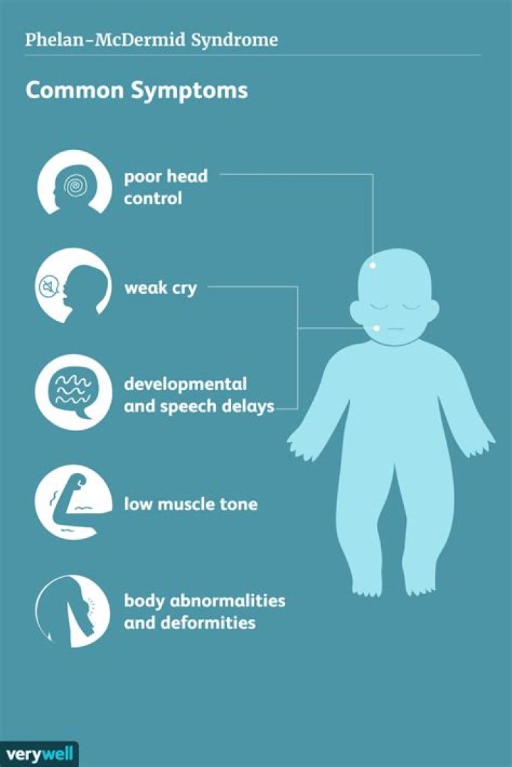 What are the symptoms of Phelan-McDermid syndrome?