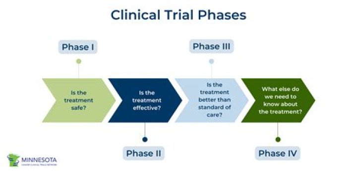 What are the three phases of interview?
