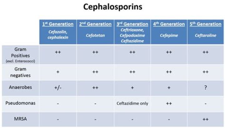 What bacteria does ceftaroline cover?
