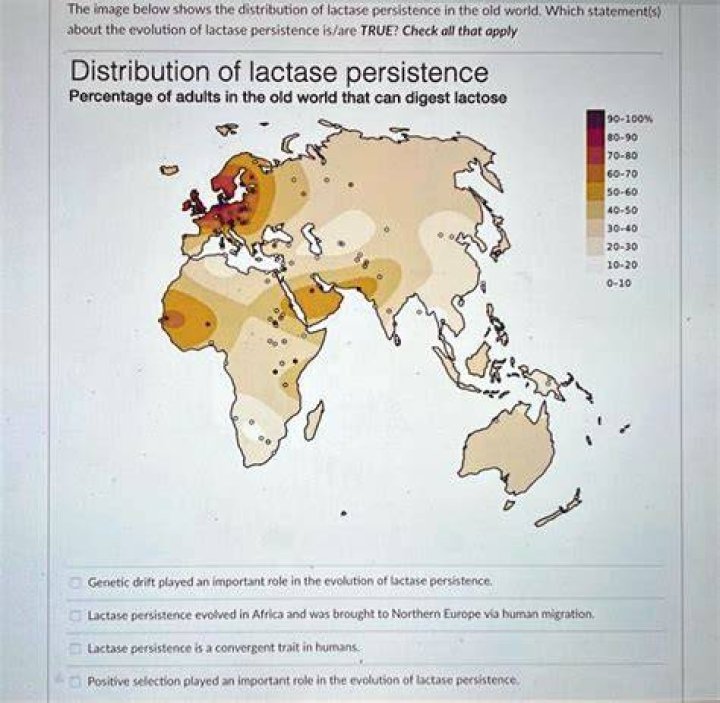 What causes persistence of lactase?