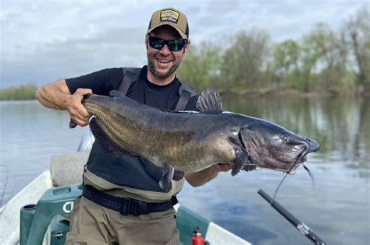 What channel is monster fish on?