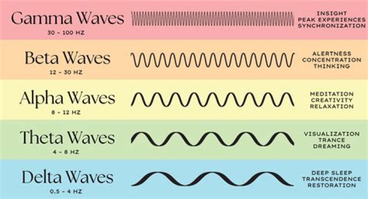 What do brain waves indicate?