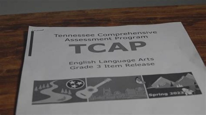 What do TCAP scores mean?