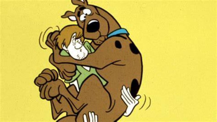 What does Scooby Dooby Doo say?