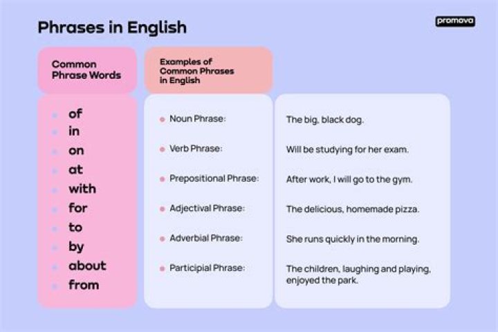 What does the phrase qui vive mean?