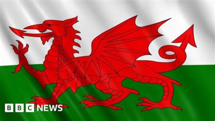 What does Wales flag represent?