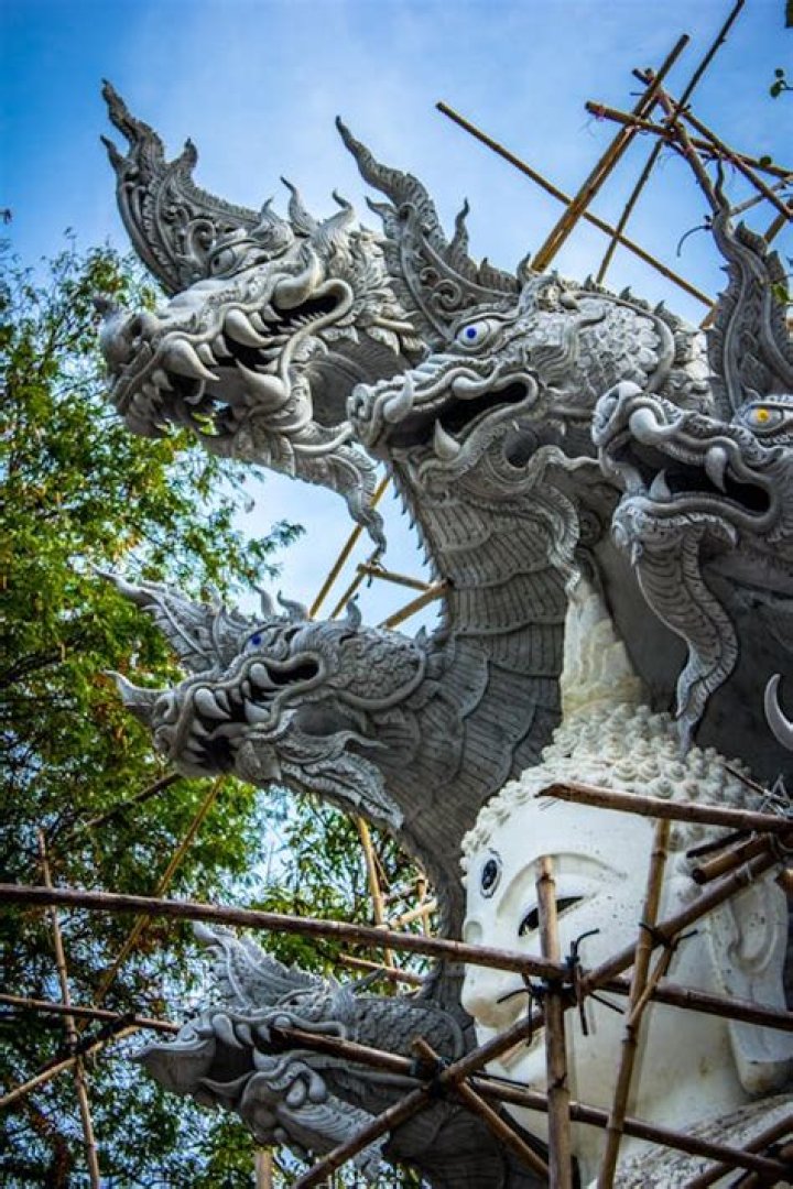 What is a 5 headed dragon called?