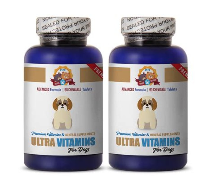 What is a good antioxidant for dogs?