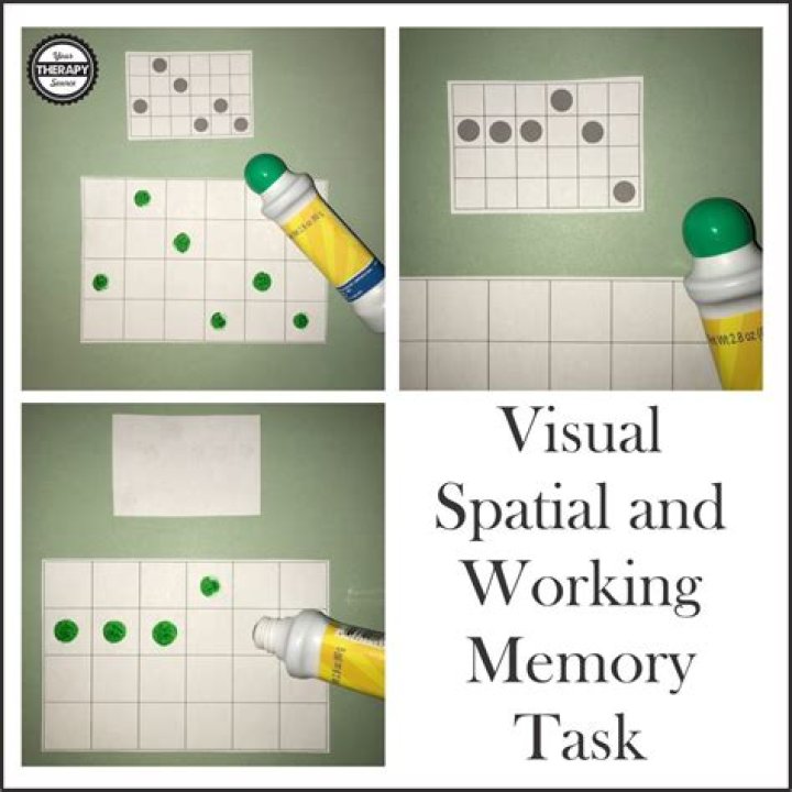 What is a visual memory task?