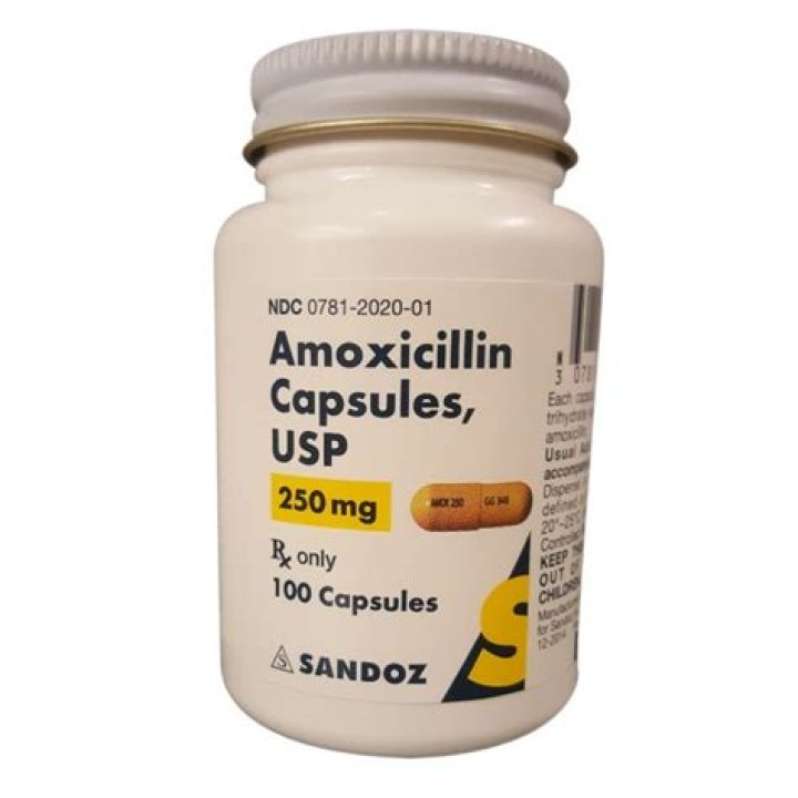 What is amoxicillin 250 mg used to treat?