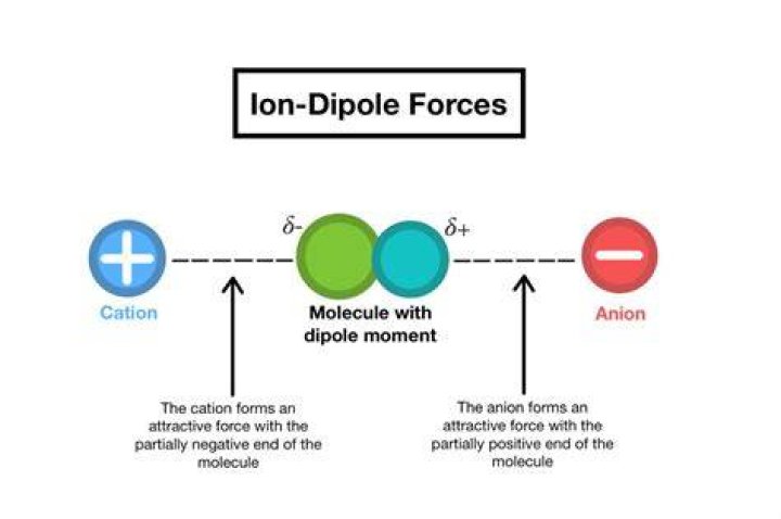 What is an example of an ion dipole interaction?