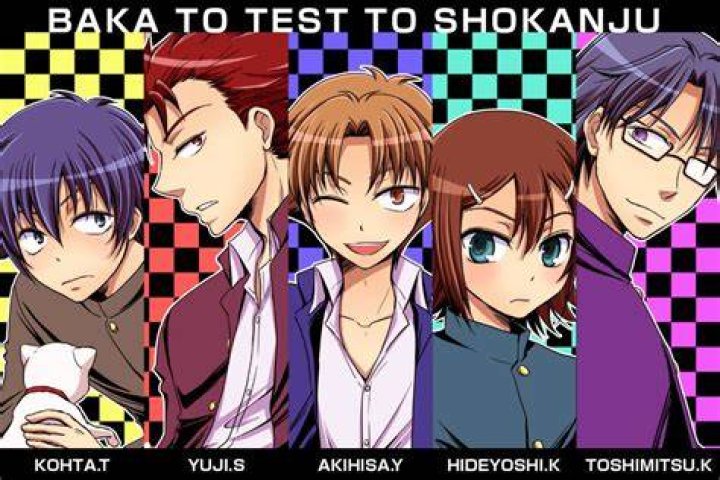 What is Baka to test to Shoukanjuu about?
