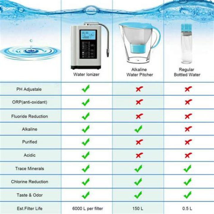 What is Chanson water ionizer?