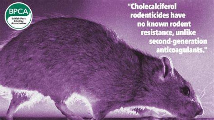What is cholecalciferol rodenticide?