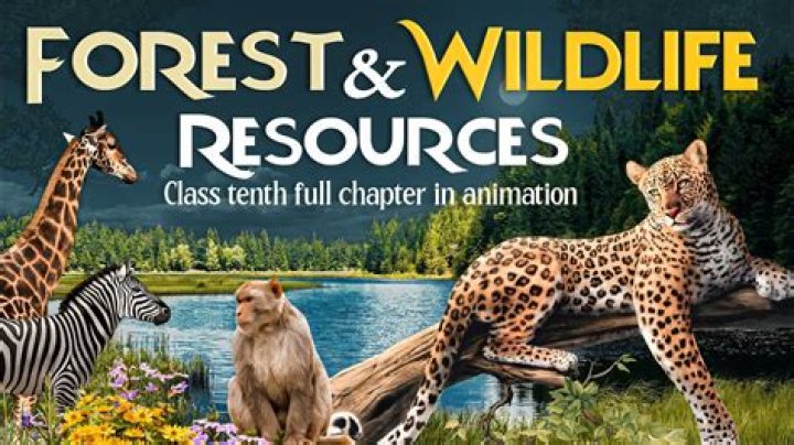 What is class 2 wildlife in TN?