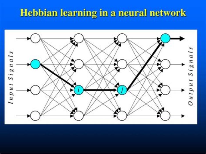 What is Hebbian learning in neural networks?