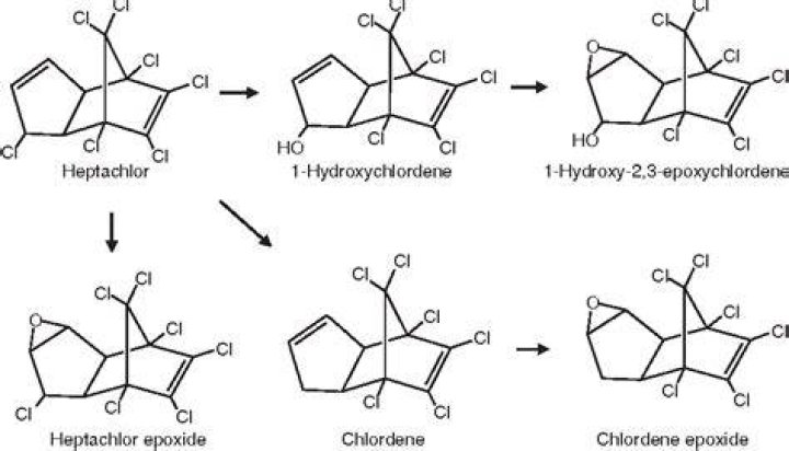 What is heptachlor epoxide?