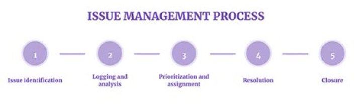 What is Issue Management in project management?