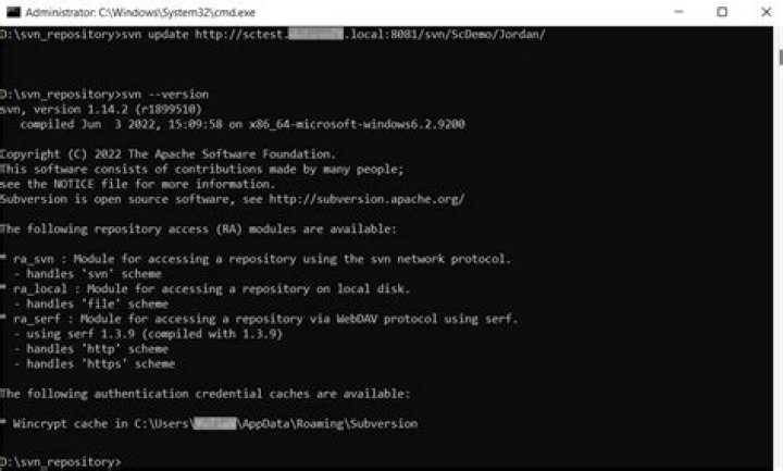 What is svn update command?