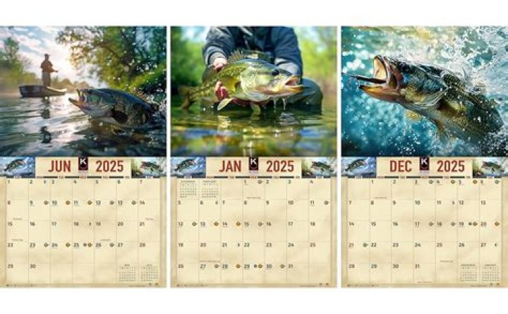 What is the best fishing calendar app?