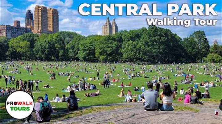 What is the best way to tour Central Park?