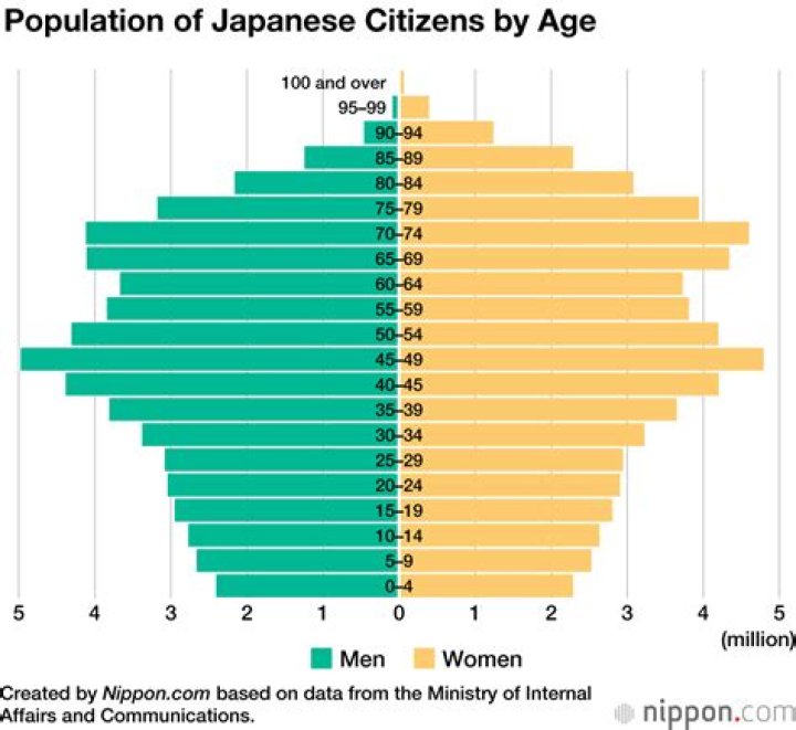What is the demographic profile of Japan?