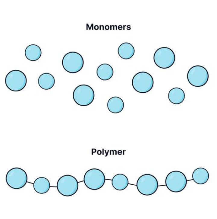 What is the difference between a monomer & polymer?