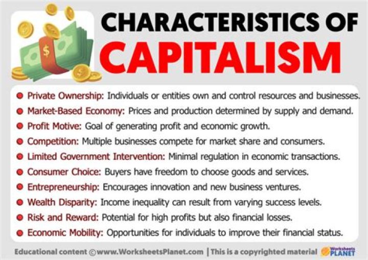 What is the etymology of the term capitalism?