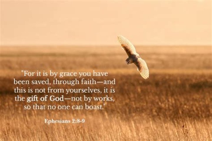 What is the gift of God in Ephesians 2 8 9?