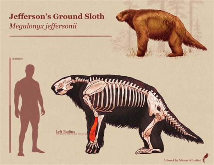 What is the ground sloths name in Ice Age?