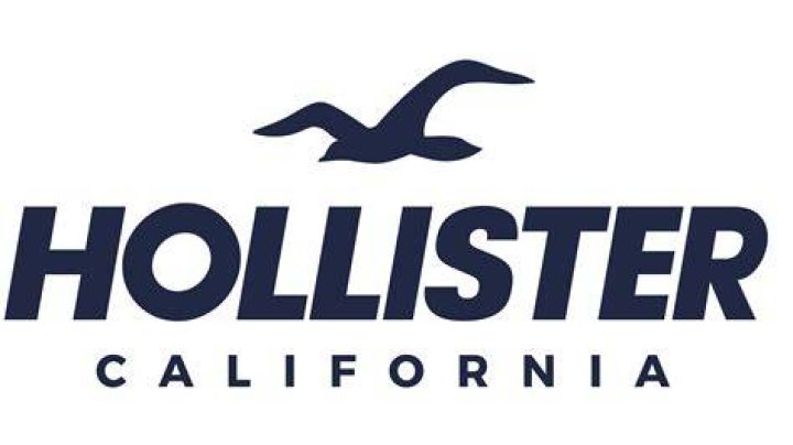 What is the history of Hollister?