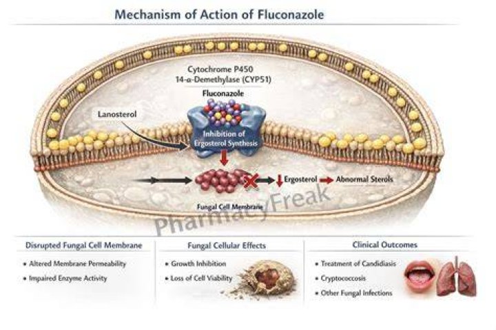 What is the mechanism action of fluconazole?