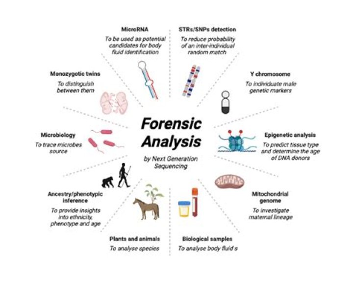 What is the most reliable forensic analysis?