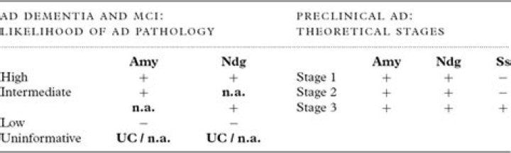 What is the NIA AA criteria?