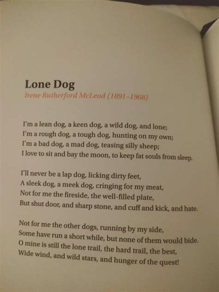 What is the theme of the poem lone dog?