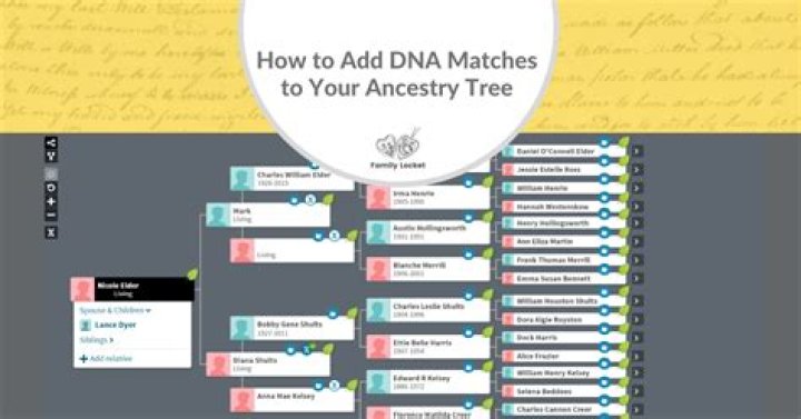 What is wrong with ancestry DNA?