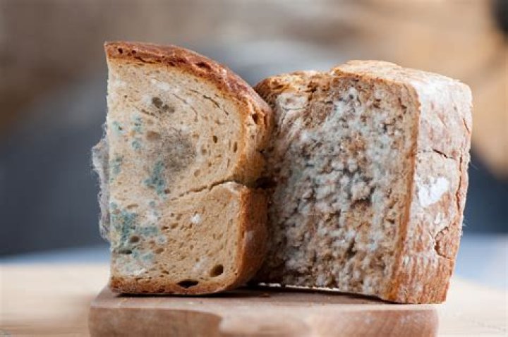 What keeps bread from spoiling?