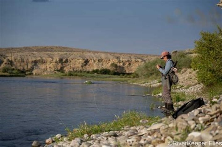 What kind of fish are in Fontenelle Reservoir?