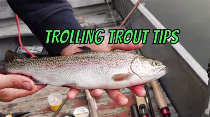 What line do you use for trolling lake trout?
