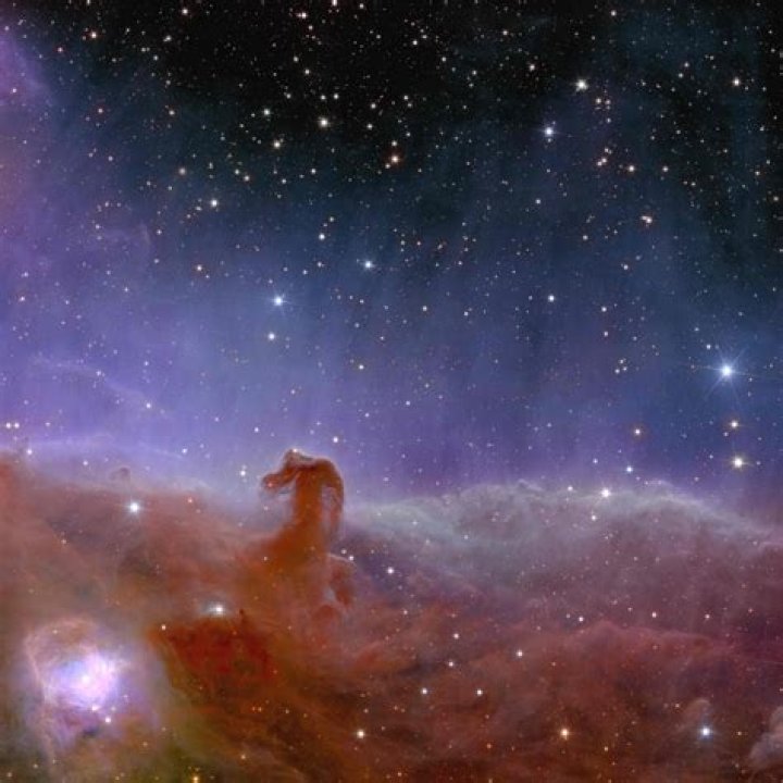 What magnification do you need to see the Horsehead Nebula?