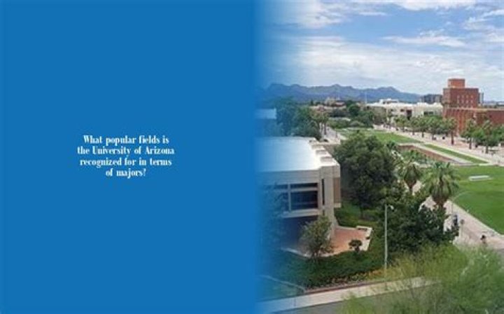 What majors is University of Arizona known for?