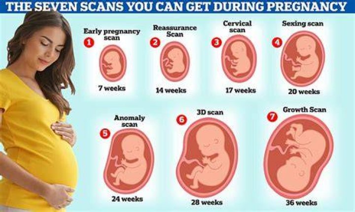 What should I expect at my 21 week ultrasound?